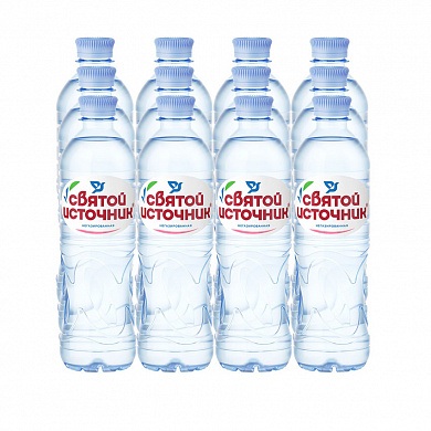 Вода «Святой Источник» 12х0,5 л, без газа ПЭТ