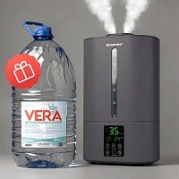 Увлажнитель воздуха Greendex Space Grey 6L серый
